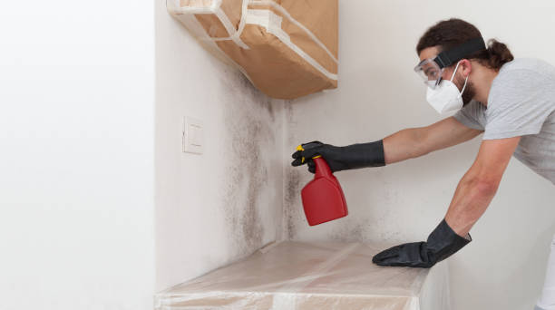 Professional Bathroom Mold Removal technician working in Newmanstown, PA