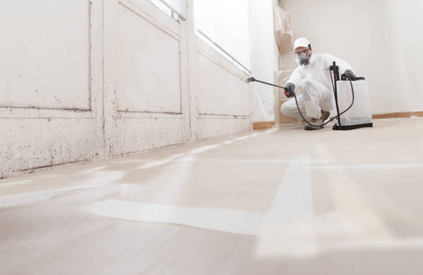 24/7 Emergency Bathroom Mold Removal experts in Newmanstown, PA